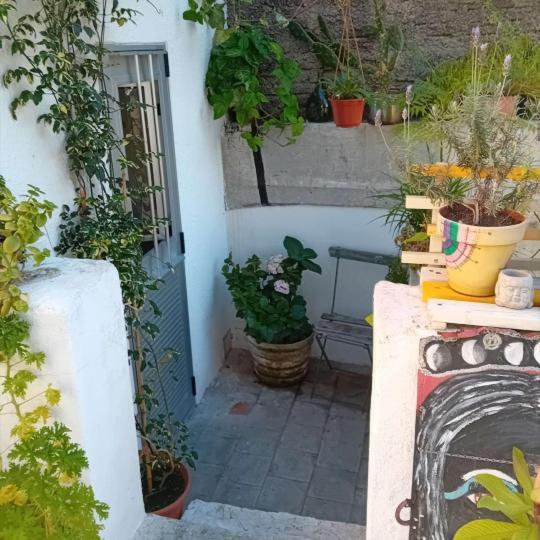 Youki Haus Hostel Montevideo Exterior photo